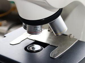 microscope