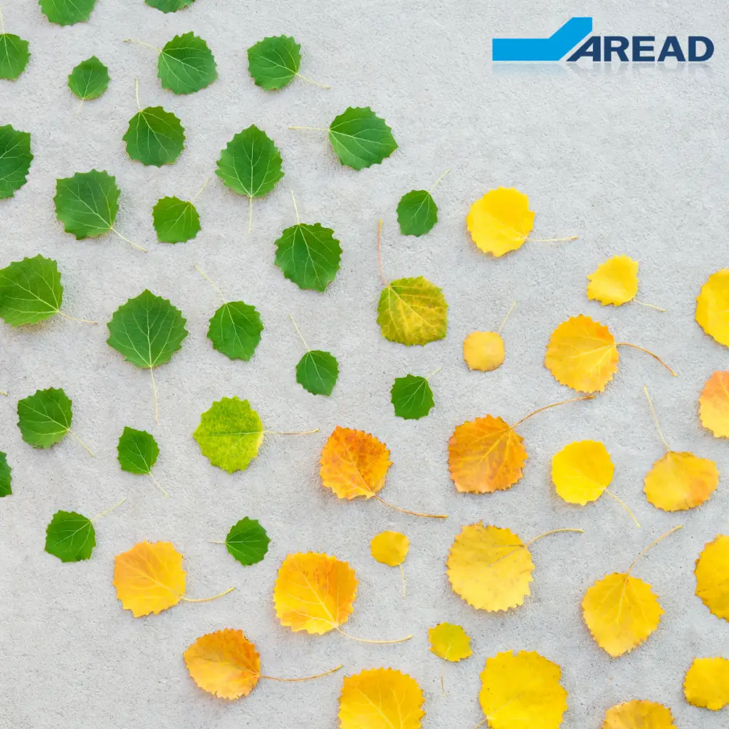 changement de saison. des feuilles jaunes qui deviennent vertes, symbolisant la transition écologique et l'appel à projets ORMAT 2025.