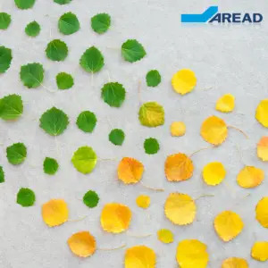 changement de saison. des feuilles jaunes qui deviennent vertes, symbolisant la transition écologique et l'appel à projets ORMAT 2025.