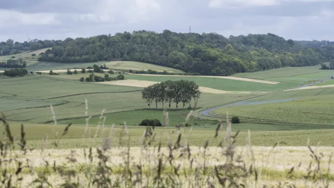 PARSADA 2025-2026 : dispositifs France Agrimer