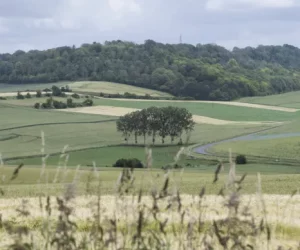 PARSADA 2025-2026 : dispositifs France Agrimer