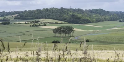 PARSADA 2025-2026 - France Agrimer PARSADA 2026