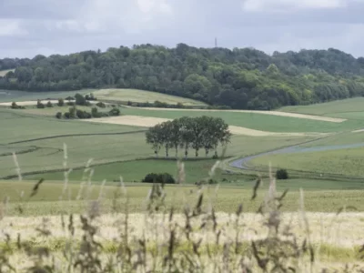 PARSADA 2025-2026 : dispositifs France Agrimer