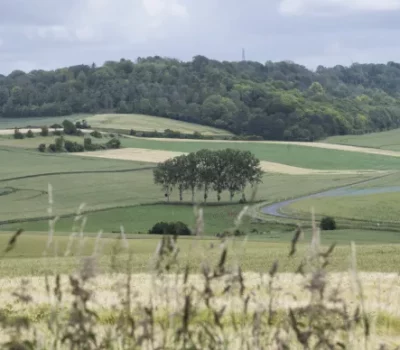 PARSADA 2025-2026 - France Agrimer PARSADA 2026