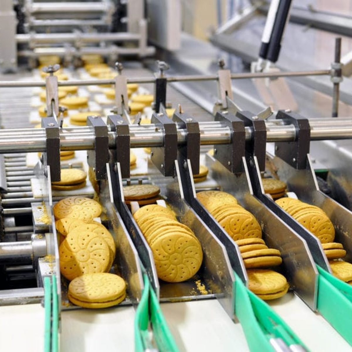 conveyor belt with biscuits in a food factory - machinery equipment