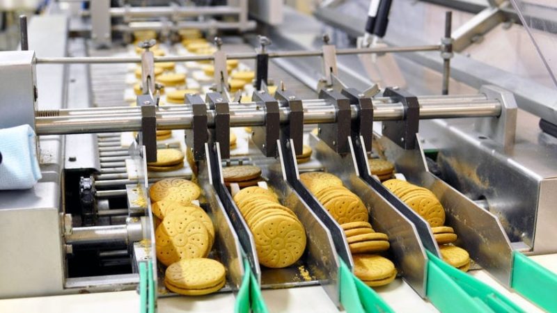 conveyor belt with biscuits in a food factory - machinery equipment