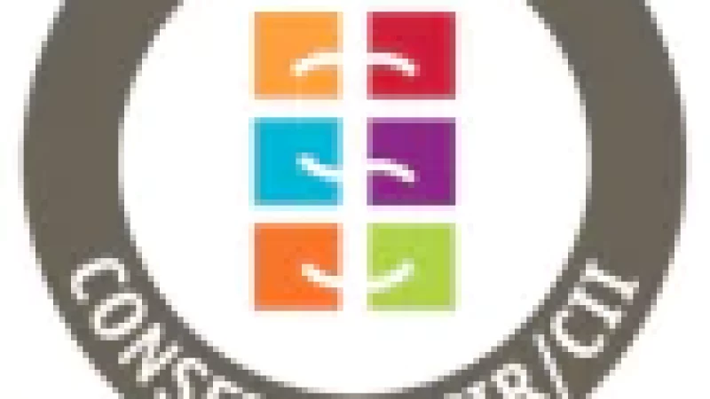 Référencement CIR-CII