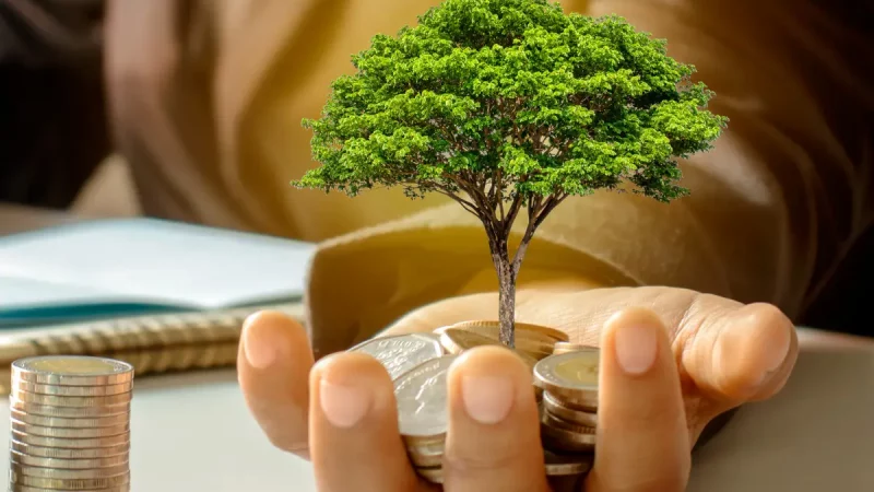 Aides régionales en Île-de-France : financements pour entreprises