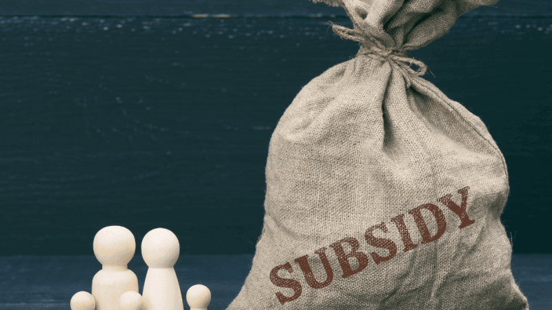 Subventions PME 2025 : guide complet