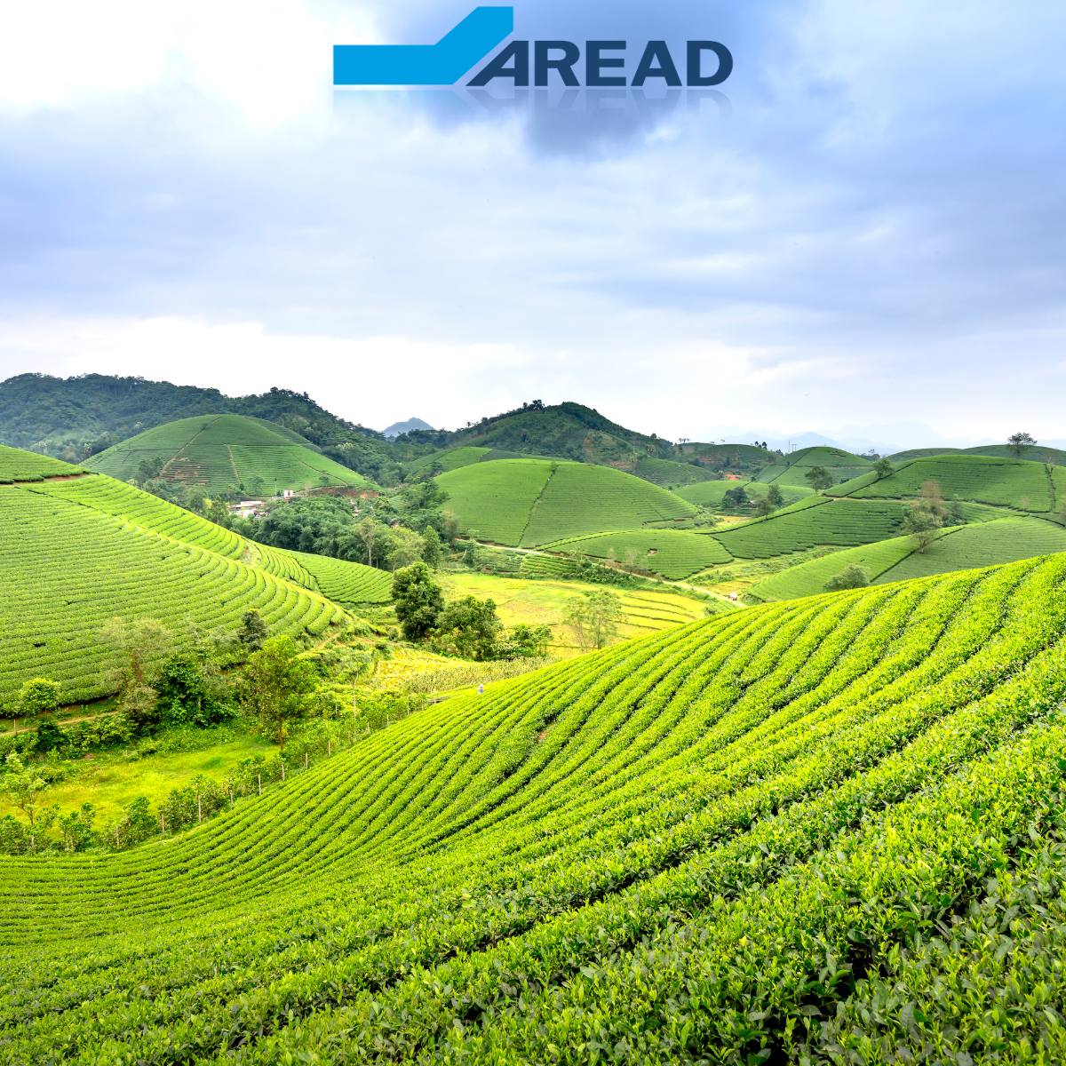 Subventions France Agrimer 2025 : guide complet