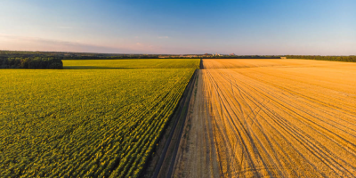 image montrant une terre agricole représentant le nouvel article sur les subventions France Agrimer 2025 écrit par Aread.