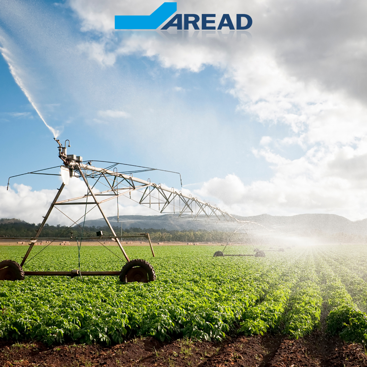 PARSADA 2025-2026 : dispositifs France Agrimer