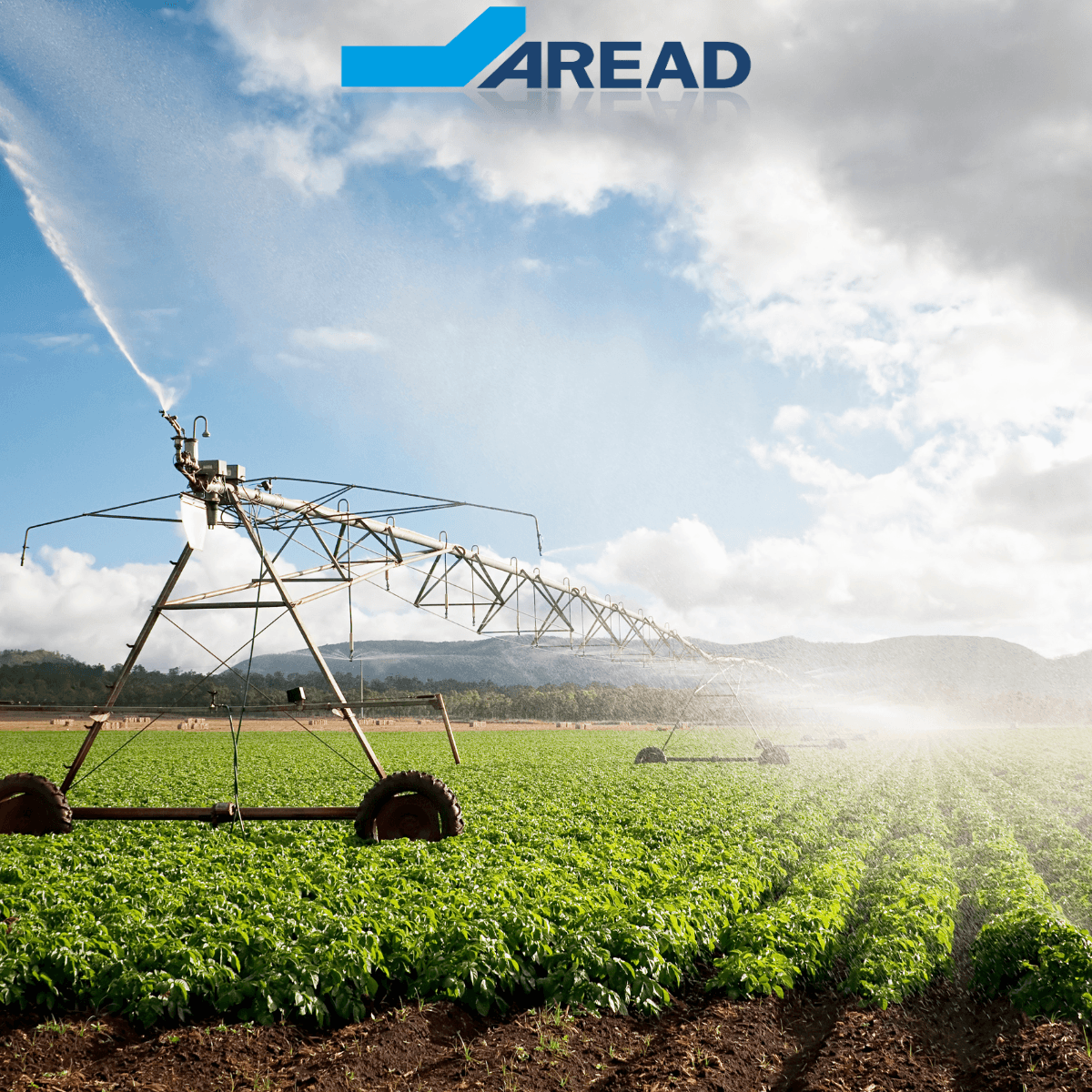 PARSADA 2025-2026 : dispositifs France Agrimer