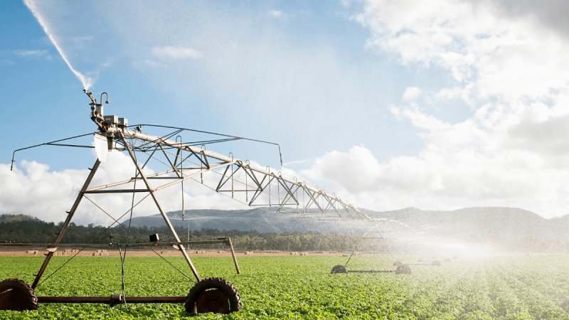 PARSADA 2025-2026 : dispositifs France Agrimer