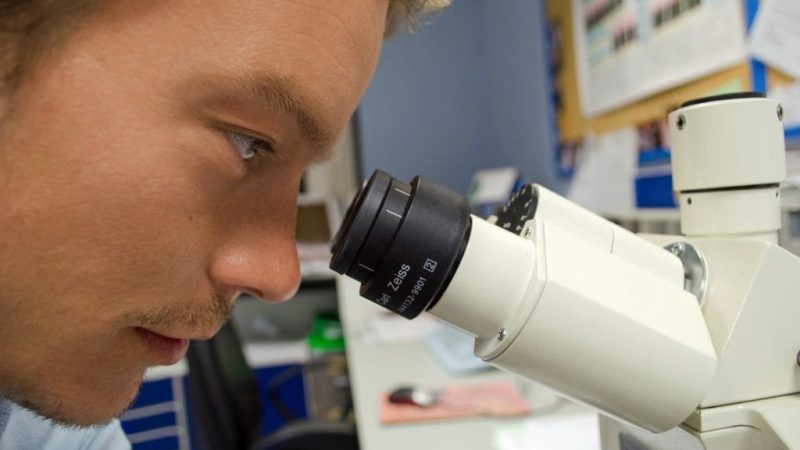 PSPC-Régions, le nouveau financement phare pour les projets de recherche et développement