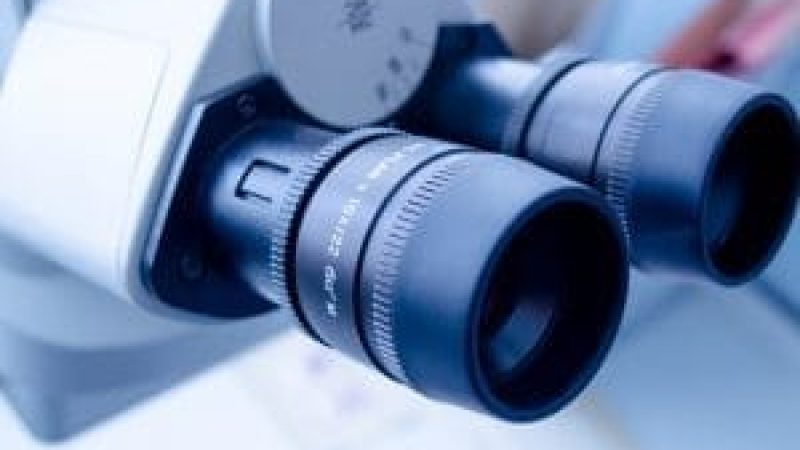 Rapport sur le CIR : un dispositif efficace mais coûteux