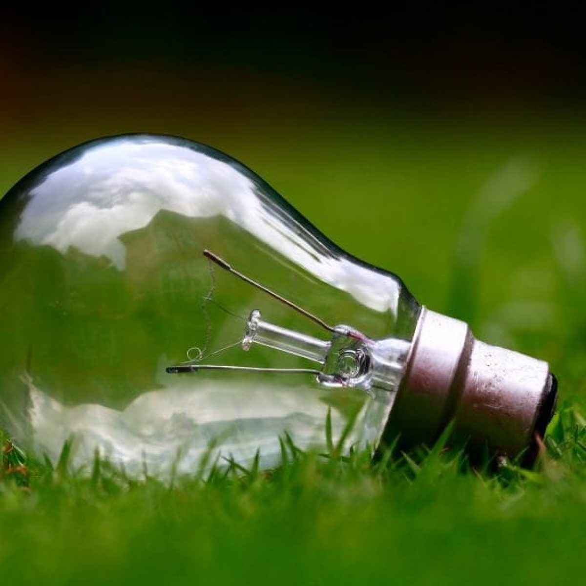 Les 5 étapes pour initier une transition énergétique dans votre entreprise