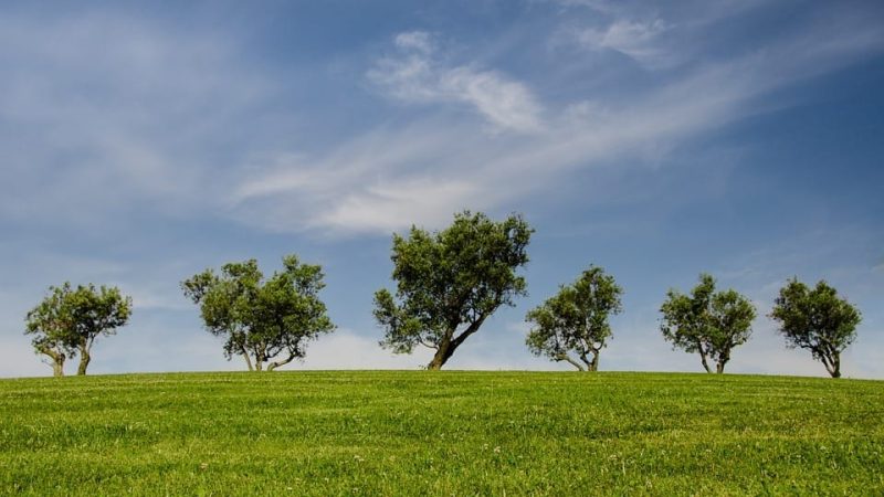 Quelles subventions pour le développement durable dans votre entreprise ?